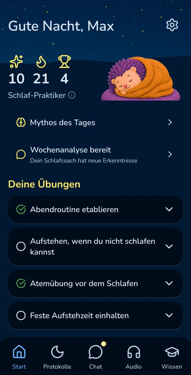 DreamSleep-Startbildschirm bei Nacht mit dem schlafenden Igel-Maskottchen und deinen täglichen Übungen: Atemübung, Abendroutine, Aufstehen bei Schlaflosigkeit, feste Aufstehzeit