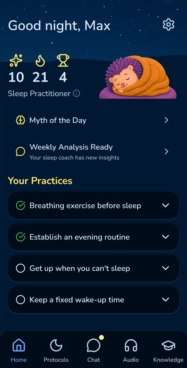 DreamSleep home screen at night with the sleeping hedgehog mascot and your daily practices: breathing exercise, evening routine, getting up when you can't sleep, fixed wake-up time